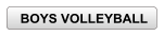 BOYS VOLLEYBALL